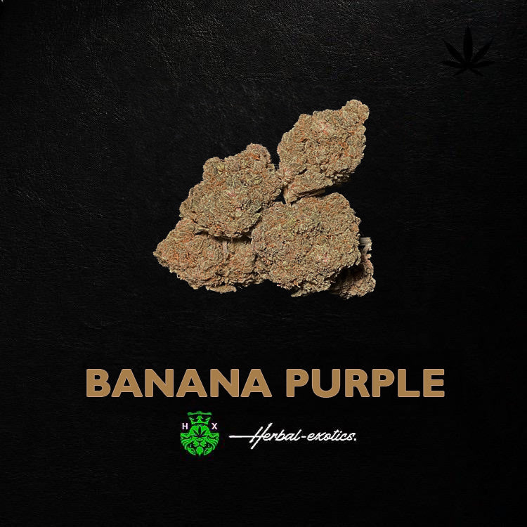 Banana Purple