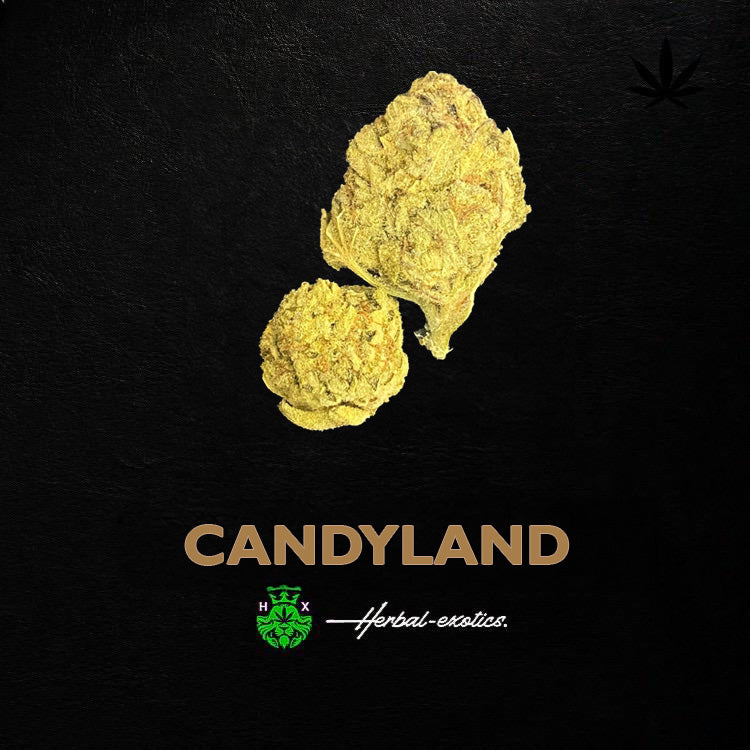 CandyLand