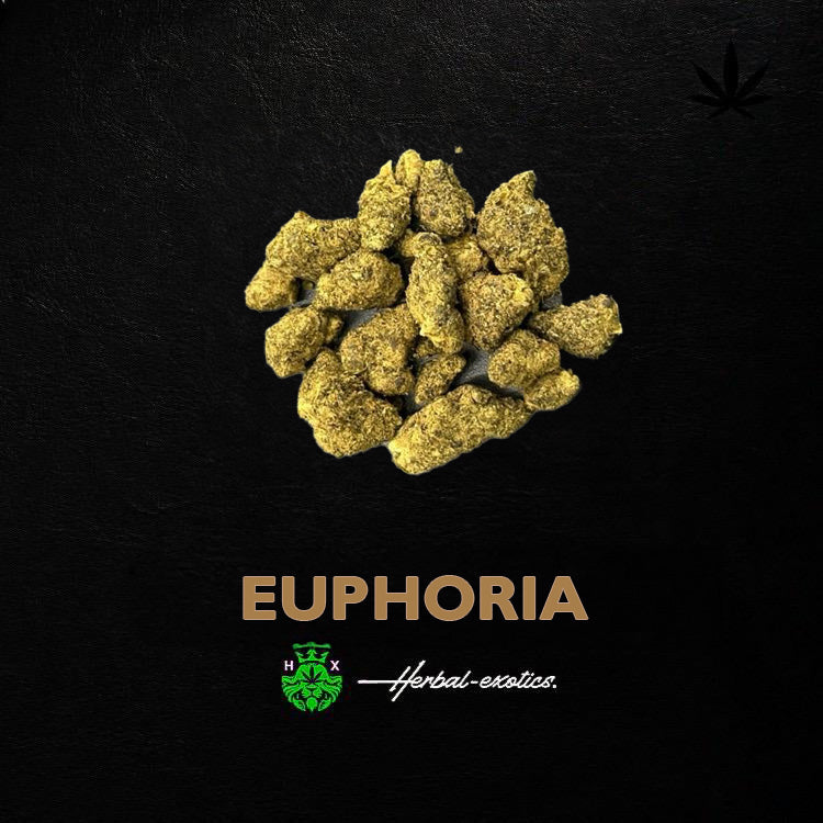 Euphoria