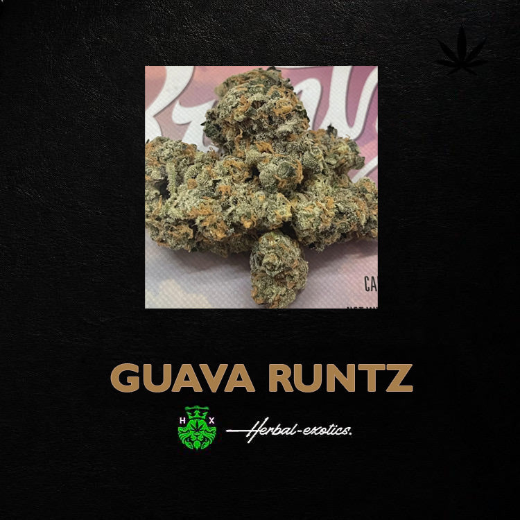 Guava Runtz