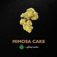 Mimosa Cake