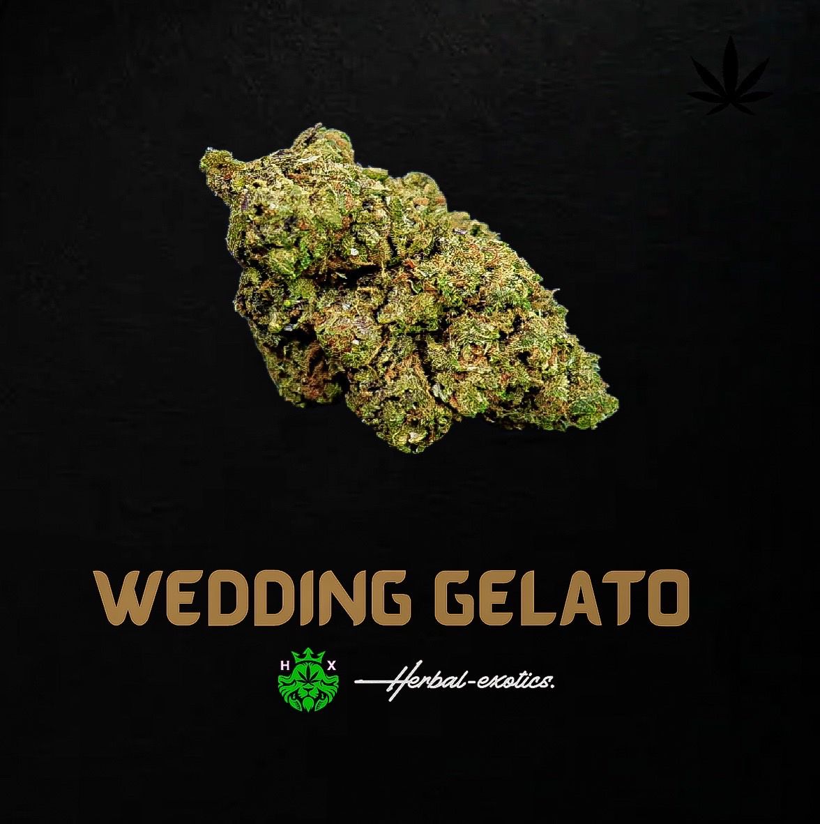 Wedding Gelato