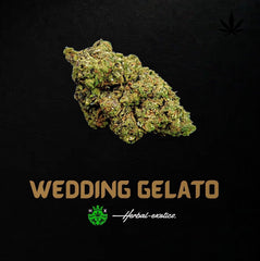 Wedding Gelato